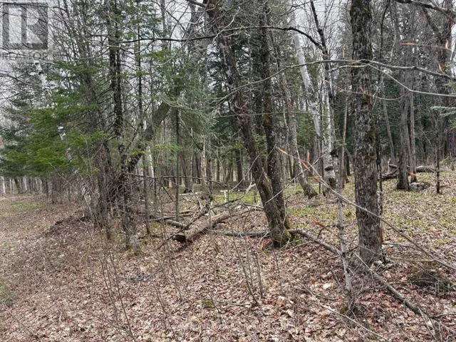 0 AHMIC LAKE ROAD, Magnetawan (Spence), Ontario P0A1P0