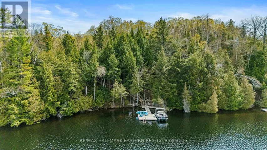 50 FIRE ROUTE 328A, Trent Lakes, Ontario K0L1J0