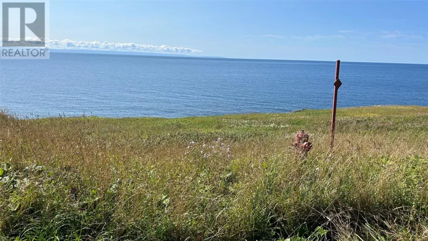 0 Oceanview Drive, Cape St George, Newfoundland & Labrador A0N1T0