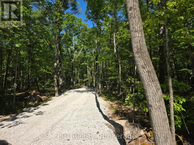38 MARBLE POINT ROAD, Marmora and Lake (Marmora Ward), Ontario K0K2M0