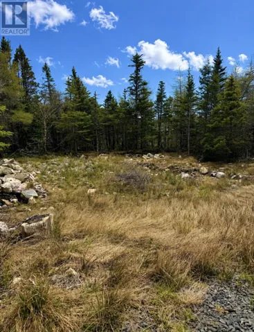 241A Middle Gull Pond Road, Middle Gull Pond, Newfoundland & Labrador A0B1G0