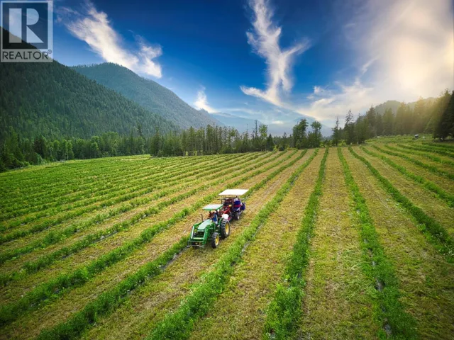 1238 Creighton Valley Road, Lumby, British Columbia V0E2G1