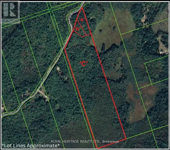 0A REID STREET, Trent Lakes, Ontario K0M2A0