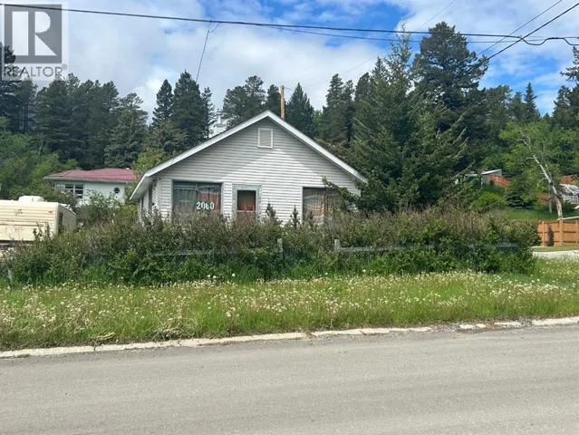 20602 25 Avenue, Bellevue, Alberta T0K0C0