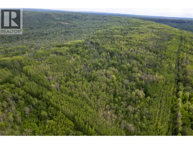 Near 206 Road, Dawson Creek, British Columbia V0C2C0