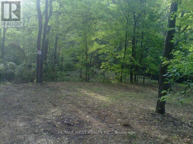PT LT 4 SULPHUR SPRING DRIVE, Pelham (North Pelham), Ontario L0S1M0