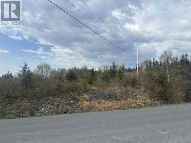 85-107 Hard Path Road, Harbour Grace, Newfoundland & Labrador A0A2M0