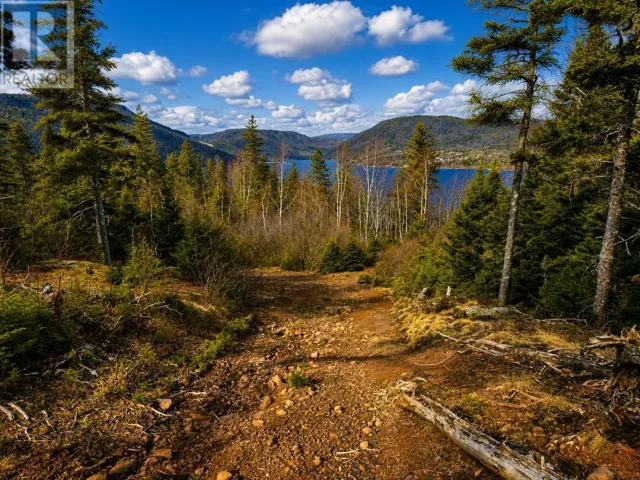 Cabot Trail, Ingonish Ferry, Nova Scotia B0C1L0