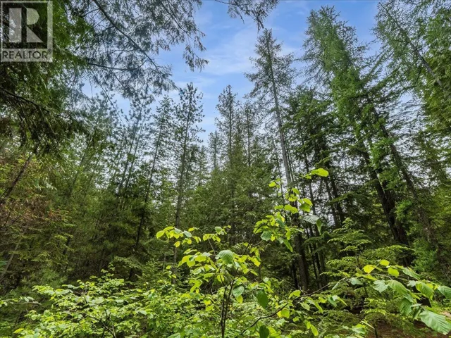 Claybrick Road Lot# 15, Winlaw, British Columbia V0G2J0