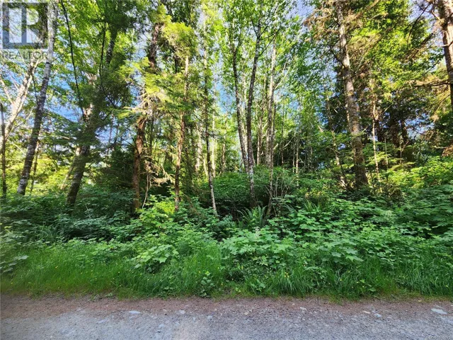 Lot D Cape Beale Trail, Bamfield, British Columbia V0R1B0