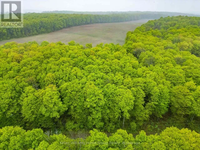 PT LT 6 BASELINE ROAD, Grey Highlands, Ontario N0C1H0