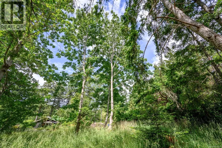 4920 Kirk Rd, Hornby Island, British Columbia V0R1Z0