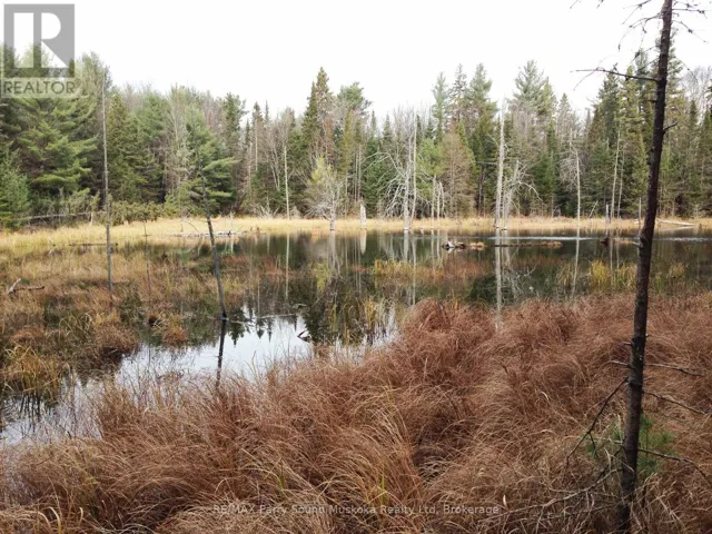 LOT 6 CON 5, Magnetawan (Spence), Ontario P0A1P0