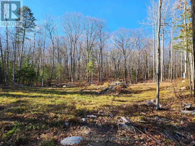 790 MITCHELL ROAD, Madawaska Valley, Ontario K0J1B0