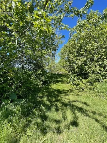 00 10TH LINE ROAD, Frontenac Islands (Wolfe Island), Ontario K0H2Y0