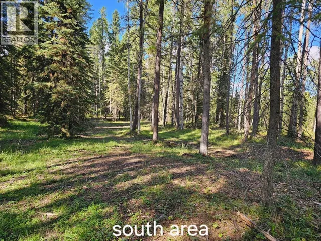 Pine Ridge Alley, Rural Clearwater County, Alberta T4T1A7
