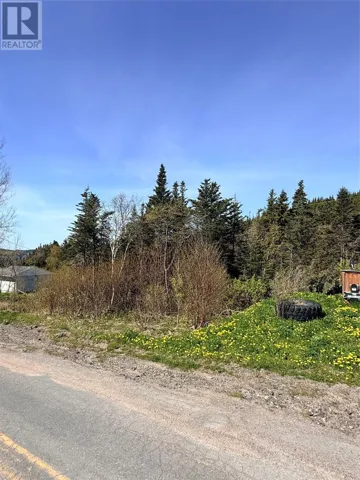00 Main Road, Clifton, Newfoundland & Labrador A0C1G0