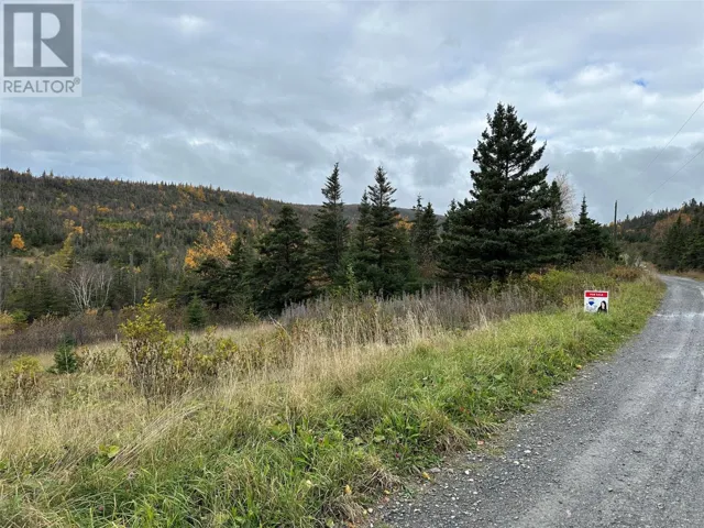 Lots 0-3 Neddies Harbour Road, Norris Point, Newfoundland & Labrador A0K3V0