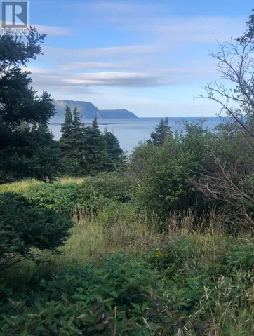 158A Main Street N, Rocky Harbour, Newfoundland & Labrador A0K4N0