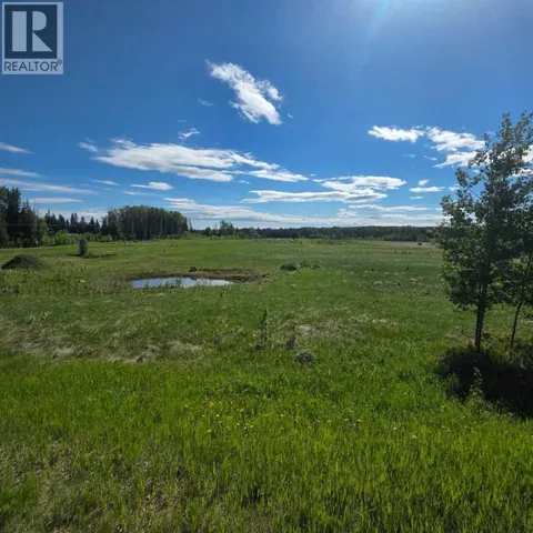 Lot 4 Range Road 175, Rural Yellowhead County, Alberta T7E3L7
