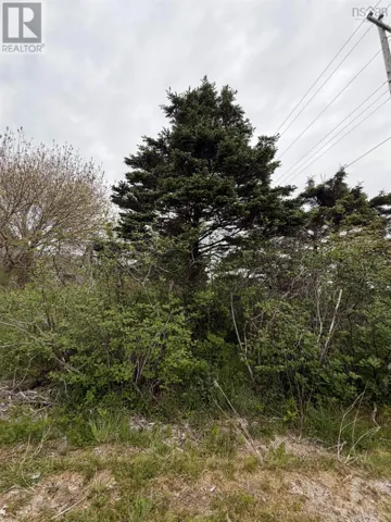 3661 Highway 217, East Ferry, Nova Scotia B0V1E0
