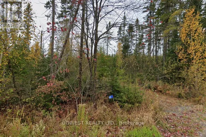 60 STAHLS ROAD, Huntsville (Chaffey), Ontario P1H2J4
