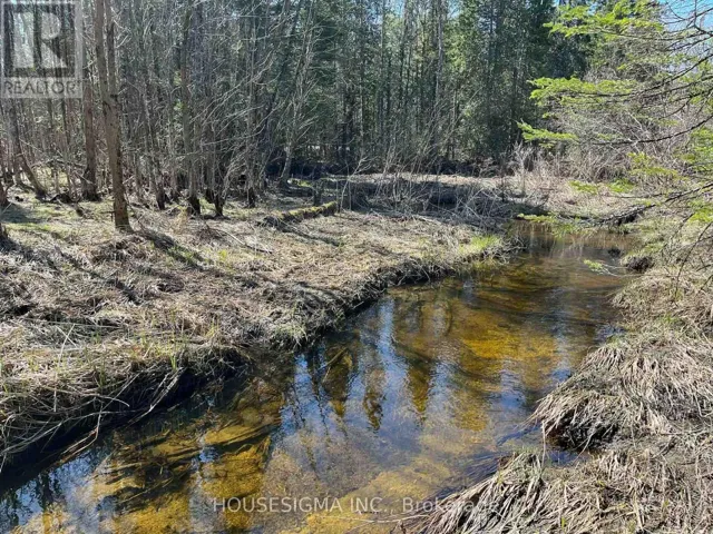 CON 14 PT LOT 17 WARD: 01 BULLER ROAD, Kawartha Lakes (Somerville), Ontario K0M2L0