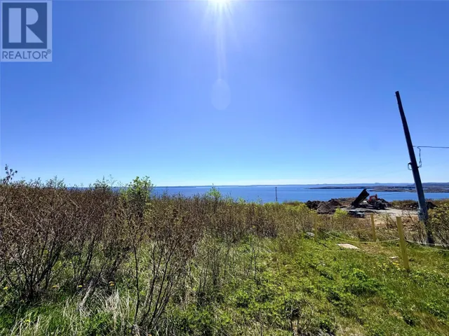 37 Drovers Road, Upper Island Cove, Newfoundland & Labrador A0A4E0