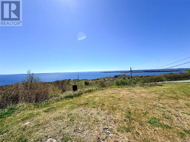 41 Drovers Road, Upper Island Cove, Newfoundland & Labrador A0A4E0
