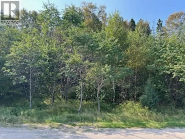 142 Main Street, Traytown, Newfoundland & Labrador A0G4K0