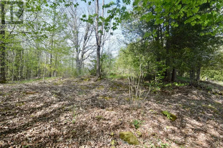 LOT 3 BALLANTRA DRIVE, Stone Mills (Stone Mills), Ontario K0K3G0