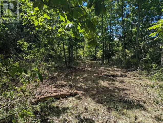 2621 4TH CONCESSION ROAD, Kingston (City North of 401), Ontario K0H1Y0