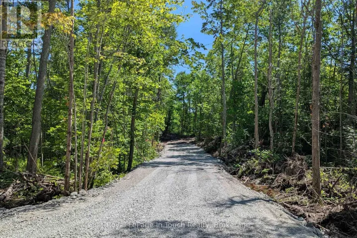434 SOUTH BAY ROAD, Georgian Bay (Baxter), Ontario L0K1S0