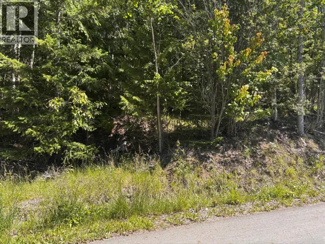 Lot 131 Aspen Road, Anglemont, British Columbia V0E1M8