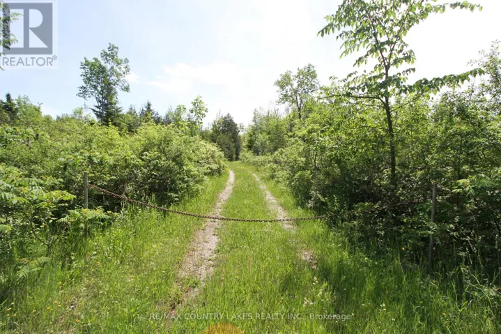 LT27 RAMBLEWOOD TRAIL, Kawartha Lakes (Bexley), Ontario K0M2B0