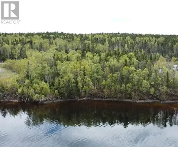 9 Little Paradise Lake Road, Beothuk Lake, Newfoundland & Labrador A0H1V0