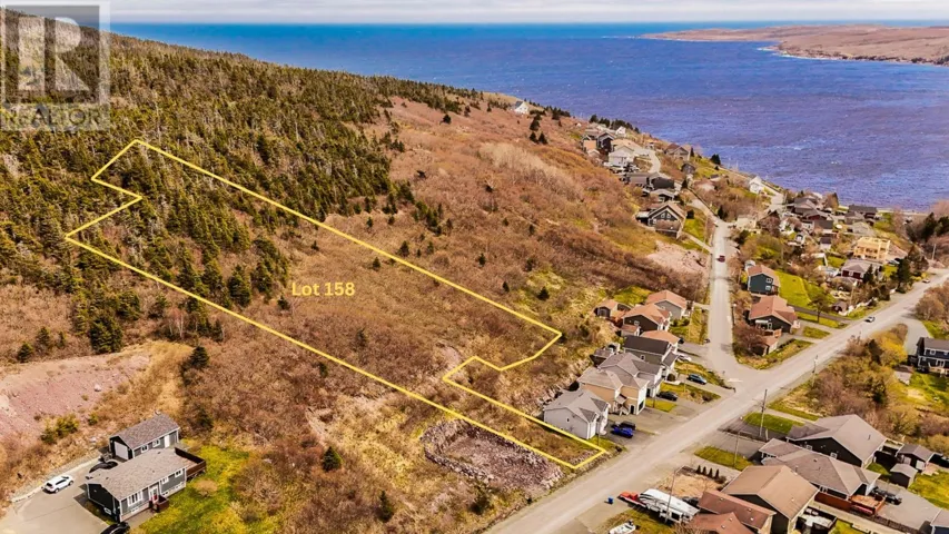 158 Main Road, Petty Harbour - Maddox Cove, Newfoundland & Labrador A0A3H0