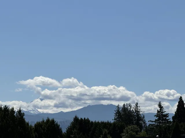 502 33540 MAYFAIR AVENUE, Abbotsford, British Columbia V2S0J3