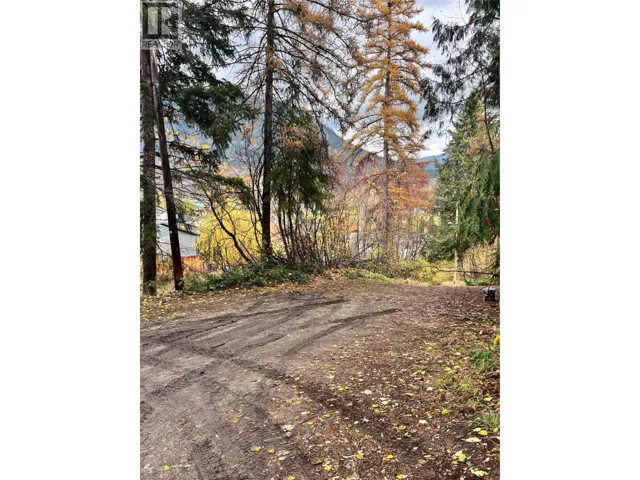 9TH Avenue, Castlegar, British Columbia V1N1K8