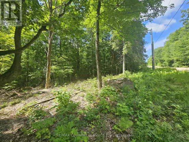 PT LT 22 O'GRADY SETTLEMENT ROAD, Brudenell, Lyndoch and Raglan, Ontario K0J2A0