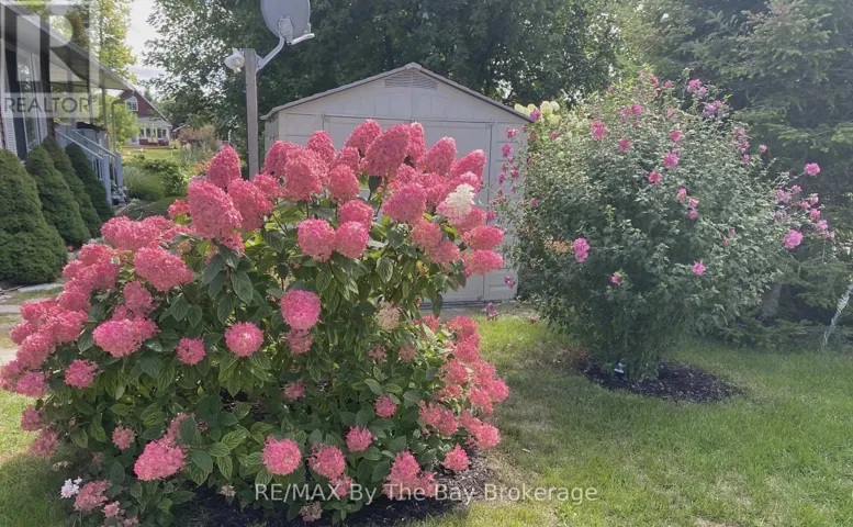 780