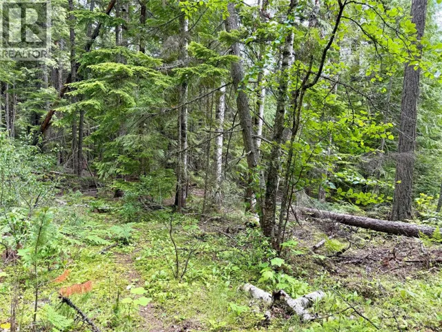 Lot D Kane Road, Nelson, British Columbia V1L6S9