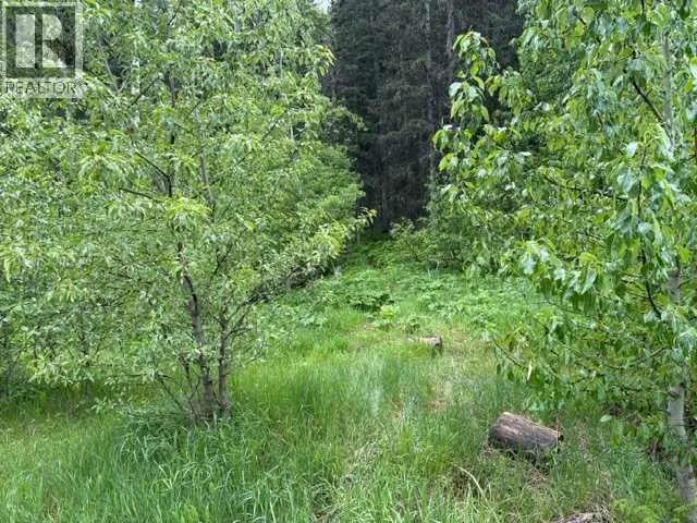 229 Mountain Lion Drive, Bragg Creek, Alberta T0L0K0