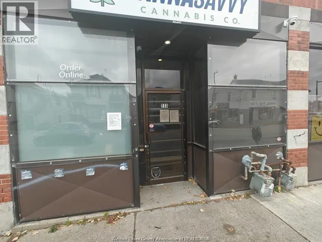 233 WYANDOTTE STREET East, Windsor, Ontario N9A3H5