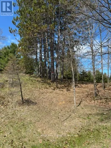 26686 HIGHWAY 62 S, Bancroft (Dungannon Ward), Ontario K0L1C0