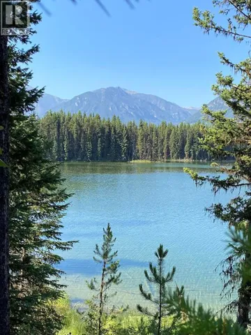 Km 44 Westside Road, Brisco, British Columbia V0B1B0