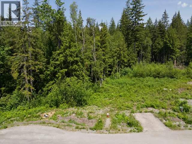27031 124B AVENUE, Maple Ridge, British Columbia V2W1C2