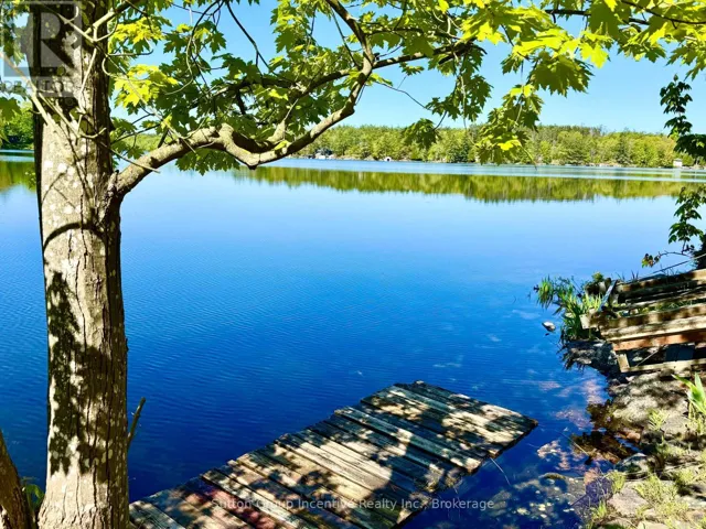 780