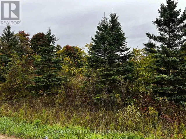 257 4TH LINE CONCESSION 4 SW LINE, Melancthon, Ontario L9V2C3
