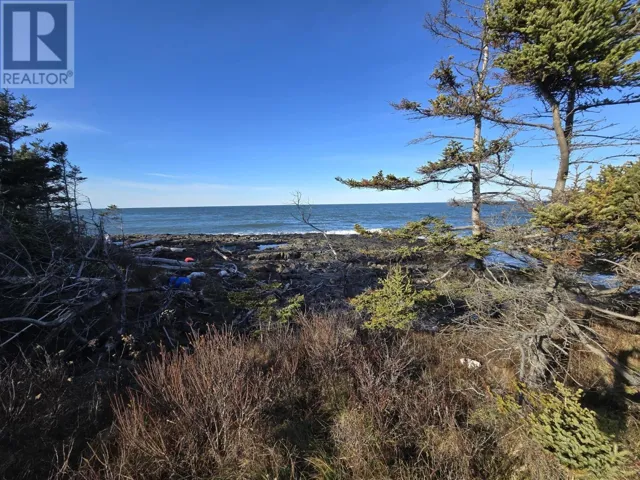 Lot Shore Road W, Delaps Cove, Nova Scotia B0P1E0